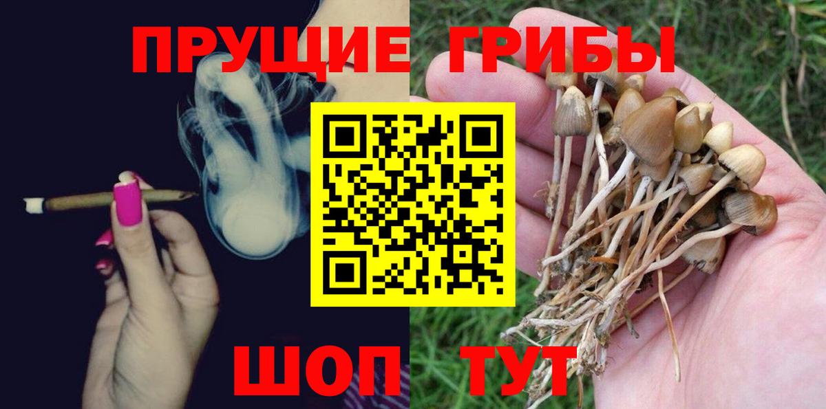 Псилоцибиновые грибы Psilocybine cubensis  Вход с VPN  Галлюциногенные грибы прущие грибы  Топки 